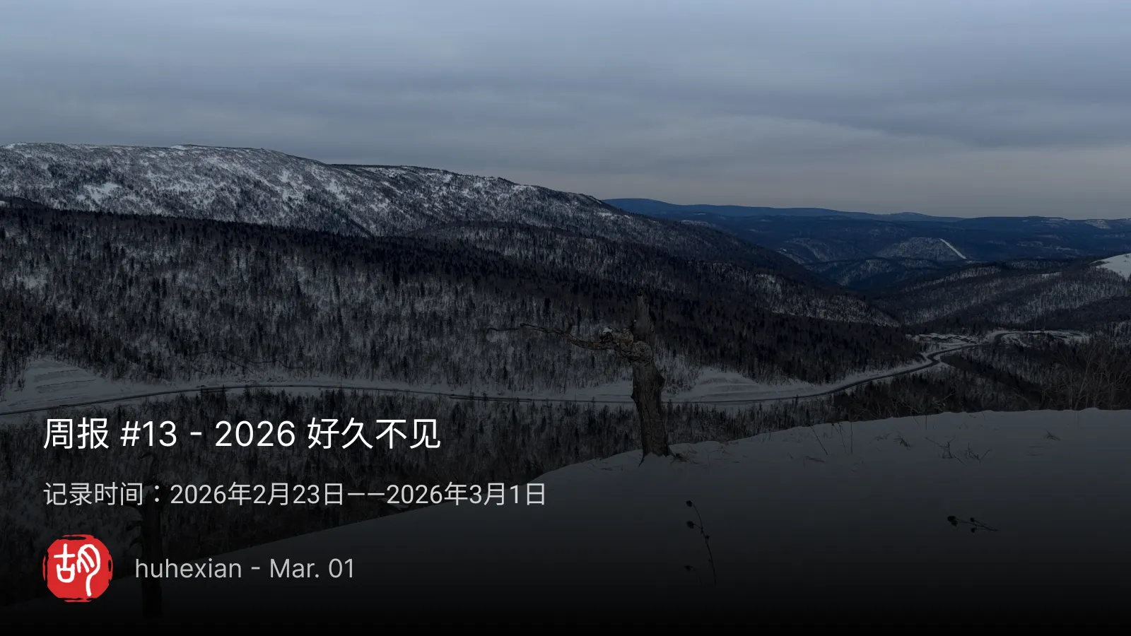 周报 #13 – 2026 好久不见